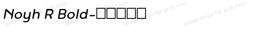 Noyh R Bold字体转换